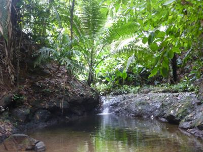 Colombia - Nuqui Cascada del Amor